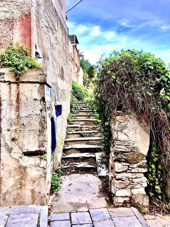 Villa Campana - Bastia Centre 외부 사진